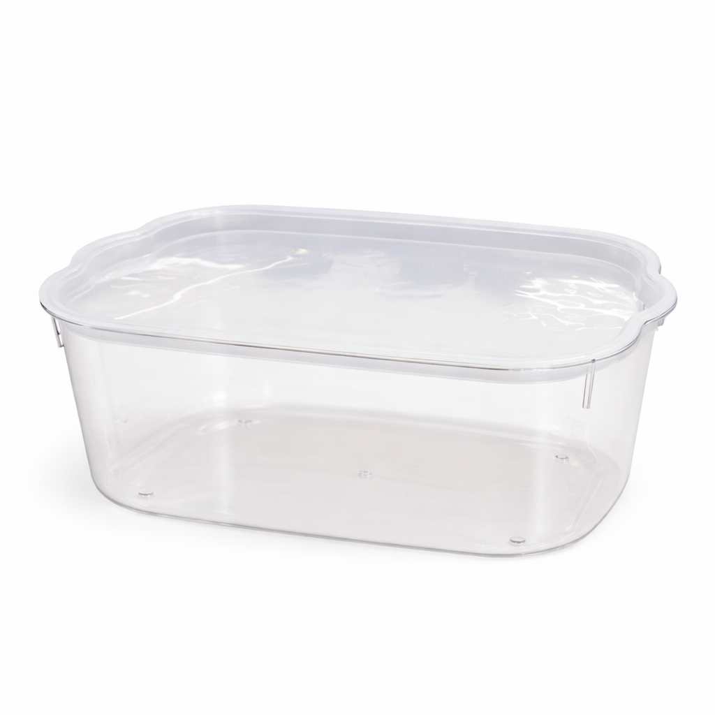 Clear Organizer Box with Lid