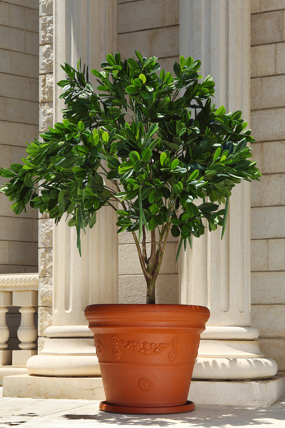 Alvera Flowerpot