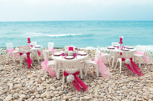 Marina Dining Chair