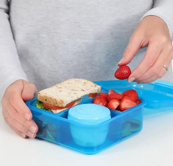Lunch Box Bento With Yogurt Pot Assorted Colors